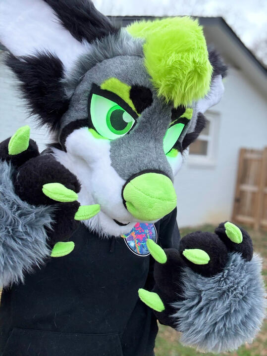UV Sharkdog Premade - 2025 UV Sharkdog Premade - 2025